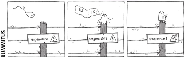 Kummitus 7.11.2024