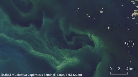 Pinnassa olevaa sinilev&#228;&#228; on havaittu esimerkiksi pohjoisella Ahvenanmerell&#228;. Sentinel-2 kuvasi n&#228;m&#228; s&#228;ikeiset lev&#228;kiehkurat Ecker&#246;n kunnan alueella 27. hein&#228;kuuta.