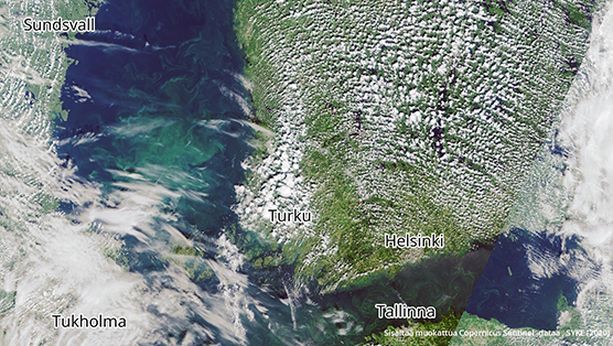 Satelliittikuva Suomen merialueilta keskiviikolta 5.8. Pintalev&#228;&#228; ja veteen sekoittunutta lev&#228;&#228; on havaittavissa Selk&#228;meren avomerialueilla. Saaristomerell&#228; runsas pilvisyys vaikeuttaa havaintojen tekoa. My&#246;s Suomenlahdella on havaittavissa veteen sekoittunutta lev&#228;&#228; sek&#228; pintakukintoja Suomenlahden l&#228;nsiosan avomerialueella. Sis&#228;lt&#228;&#228; muokattua Copernicus-dataa.