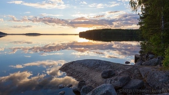 Sinilev&#228;tilanne on kuluneena kes&#228;n&#228; ollut vaihteleva sek&#228; sis&#228;vesill&#228; ett&#228; merialueilla. 