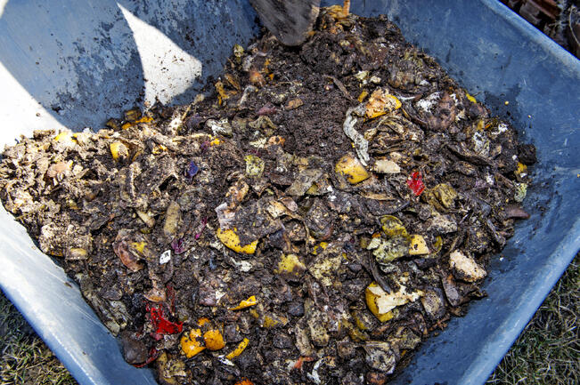 Biojätteen 140 litran astian tyhjennyshinta alenee 1,26 eurolla ja 240  litran astian tyhjennyshinta 2,35 eurolla.