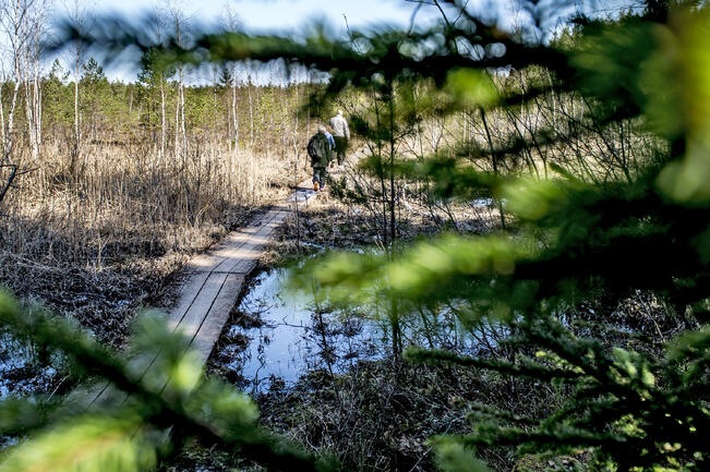 Suosituimmissa luontokohteissa voi olla ruuhkaa pääsiäisenä.
