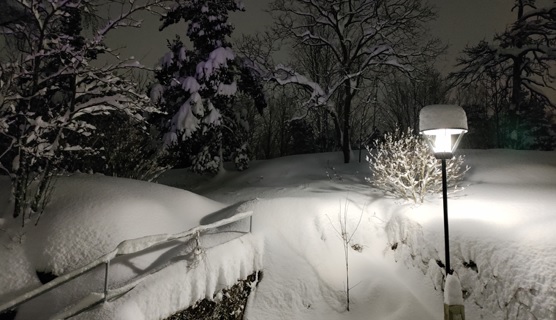 Luminen pihamaisema Helsingiss&#228; 13. joulukuuta.