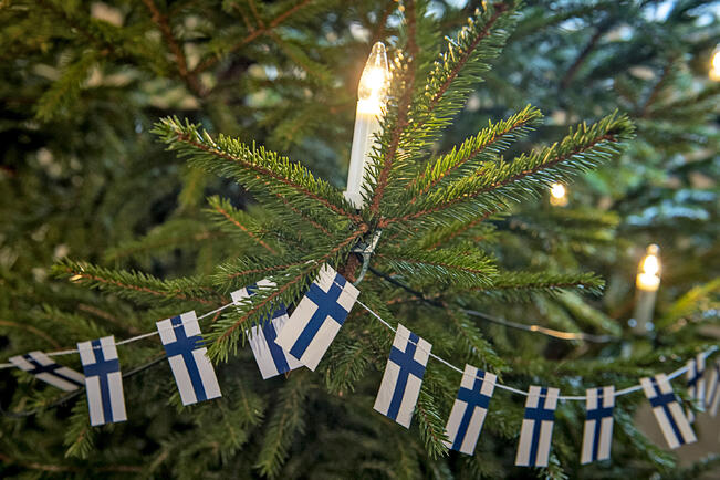 Joulukuusien aiheuttamat vesivahingot erittäin yleisiä.