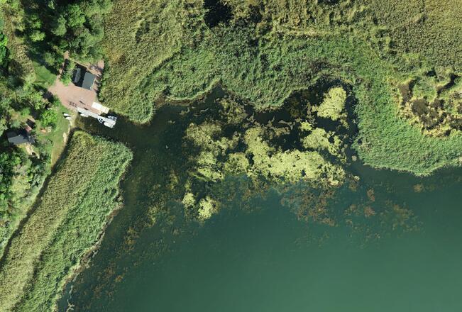 Rihmalevää Husöviken-lahdessa kesällä 2022.