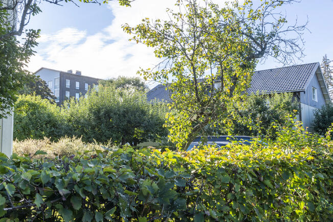 Turkuun halutaan lisää pientaloja.