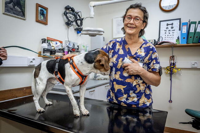 Eläinlääkäri Eva Einola-Koponen.