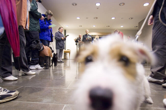 Kansainvälinen eläinten päivä on 4. lokakuuta.