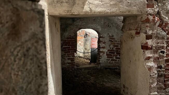 Aboa Vetuksen näyttelyn uudistaminen aloitetaan tammikuussa.  