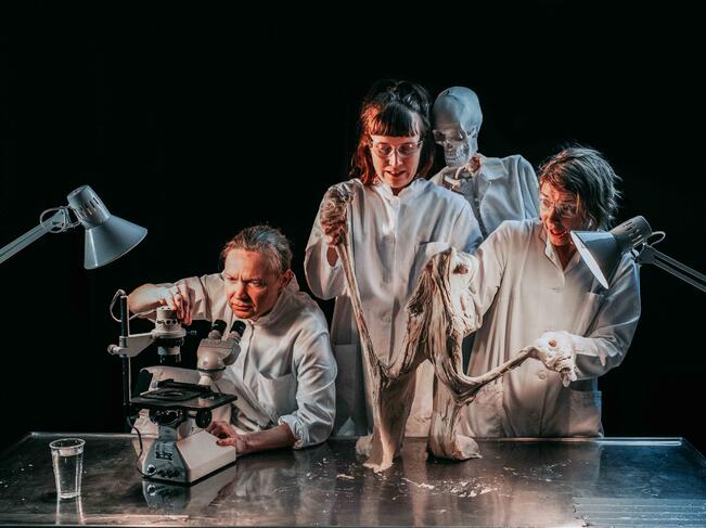 Sukupuuttoparatiisi nähdään keväällä Sopukassa.