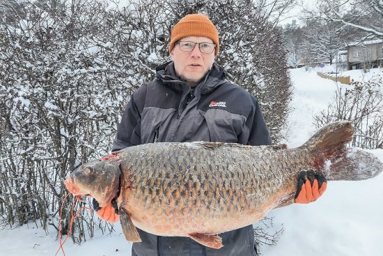 Arto Vihannon (kuvassa) ja Arto Hyttisen Hiidenvedelt&#228; verkolla joulukuussa saama 22,20 kilon karppi oli niin iso, ettei sille meinannut l&#246;yty&#228; punnituspaikkaa.