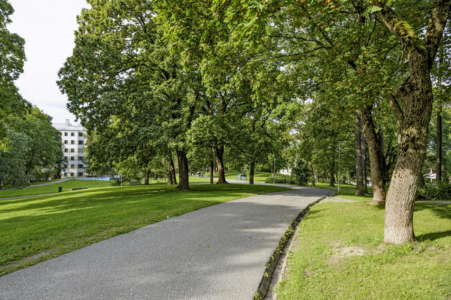 Vartiovuorenpuisto aiotaan peruskorjata.