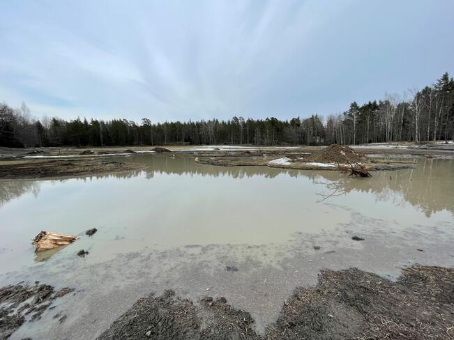 Kosteikon avulla peltoalue ennallistetaan harvinaiseksi suoluontotyypiksi.