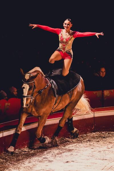 Sirkus on Kupittaalla 10.–18. elokuuta.