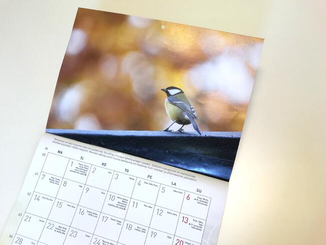 Yhteisvastuun lintuaiheinen seinäkalenteri alkaa jo tämän vuoden lokakuusta ja jatkuu vuoden 2025 loppuun.