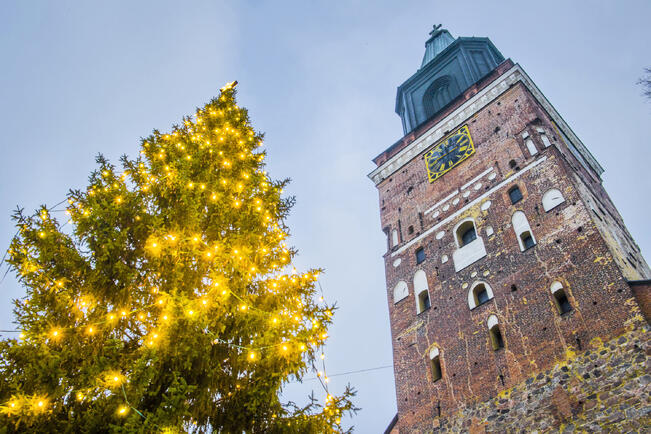 Tuomiokirkon joulukuusi saa valot lauantaina 30. marraskuuta. Kuva on vuodlelta 2022.
