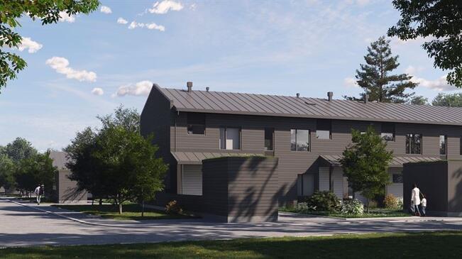 Havainnekuva Villa Viiristä.