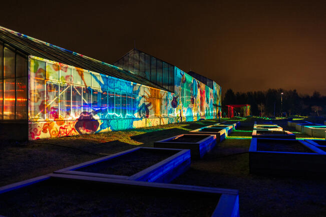 Immanuel Pax, Flower Power. 