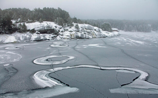 Itämeri on vaarassa hiljentyä.