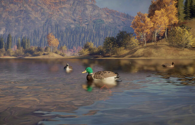 Bita Razavi,I Inhabitants of Our Planet, 2021. Video still. 12 min.