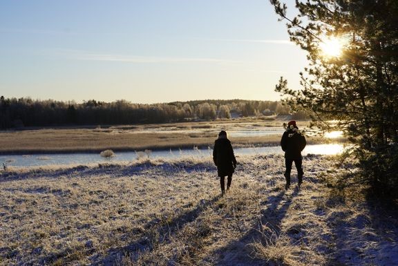 Salon Perni&#246;ss&#228; sijaitsevalla Kosken kartanolla kosteikosta on ollut hy&#246;ty&#228; sek&#228; ymp&#228;rist&#246;lle ett&#228; maataloudelle. 
