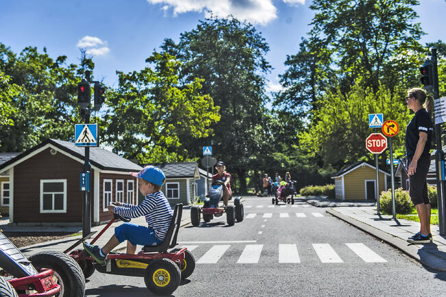 Lasten liikennekaupungin lähistöltä joudutaan kaatamaan neljä vuorijalavaa, yksi vaahtera ja yksi kuusi.