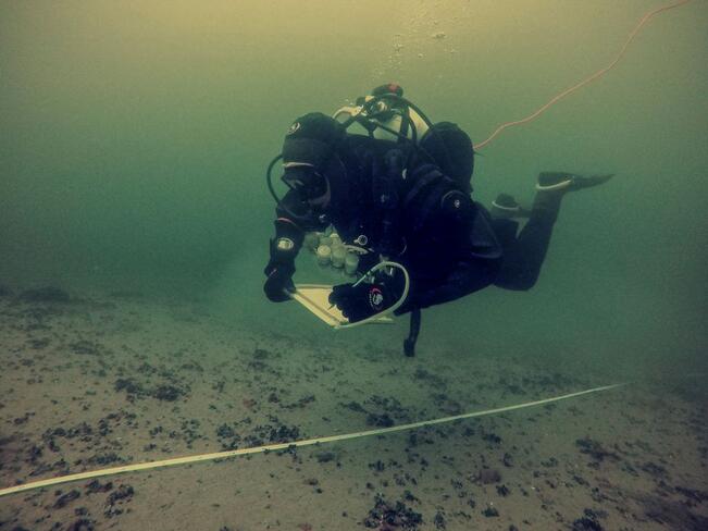 Kartoitusten tuottama tieto auttaa esimerkiksi kuntia huomioimaan vedenalaiset luontoarvot, kuten uhanalaisten lajien ja luontotyyppien esiintymät sekä tärkeät kalojen lisääntymisalueet. 
