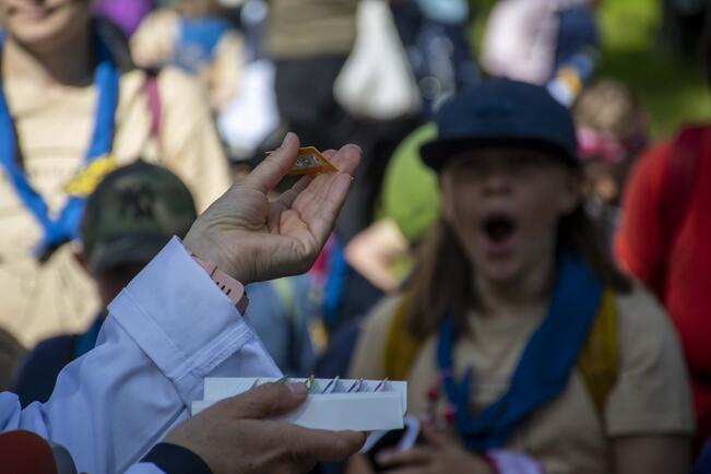 Tammileiri on Sauvossa. Kuva on vuodelta 2022.