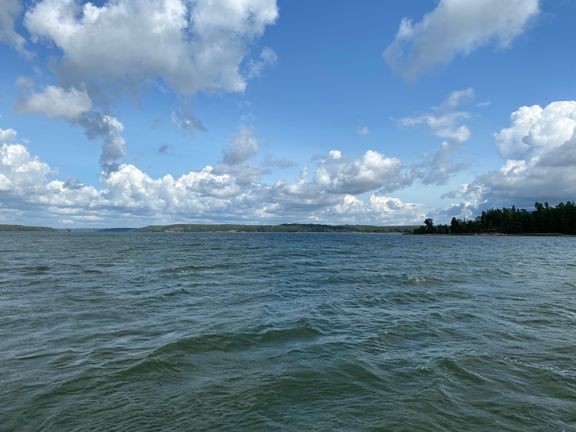 Sinileviä esiintyy Lounais-Suomessa heinäkuun alussa tavanomaista vähemmän.  
