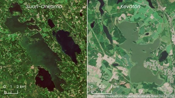 Sinilevää on havaittu useilla järvillä. Tässä esimerkkinä Sentinel-2-satelliitin havaintoja Suuri-Onkamo-järveltä Pohjois-Karjalasta ja Kevätön-järveltä Pohjois-Savosta. 
