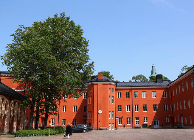 Katedraalikoulun piha. 