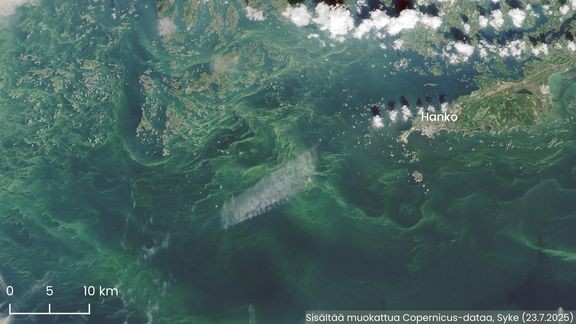 Sentinel-2-satelliitin keskiviikon havainto Hangon l&#228;nsipuolelta. Pintakukintaa esiintyy erityisesti Hangon l&#228;ntisell&#228; sel&#228;ll&#228;. 
