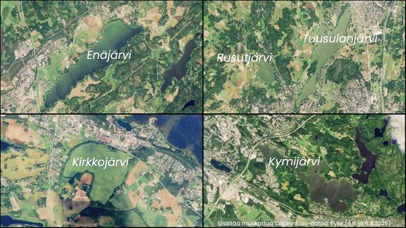 J&#228;rvill&#228; sinilev&#228;n m&#228;&#228;r&#228; tyypillisesti lis&#228;&#228;ntyy loppukes&#228;n sateiden my&#246;t&#228;. Alkuviikon aikana sinilev&#228;&#228; havaittiin veteen sekoittuneena vaihtelevissa m&#228;&#228;rin mm. En&#228;j&#228;rvess&#228; (Vihti), Tuusulanj&#228;rvess&#228; (Tuusula/J&#228;rvenp&#228;&#228;), Rusutj&#228;rvess&#228; (Tuusula), Kirkkoj&#228;rvess&#228; (Kangasala) ja Kymij&#228;rvess&#228; (Lahti). 