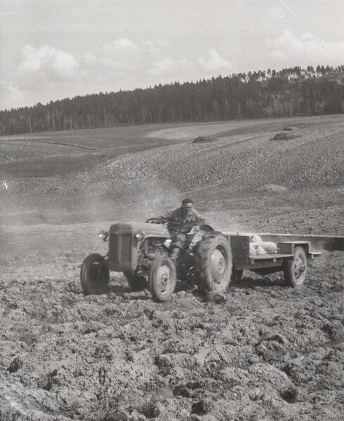 Matti Äyräs traktoreineen levittämässä lantaa Raukkalassa Rantaäyrään pellolla 1950–60-luvulla. Pirkka-lannanlevittimen lavalla on säkeissä rautajauhoa. 