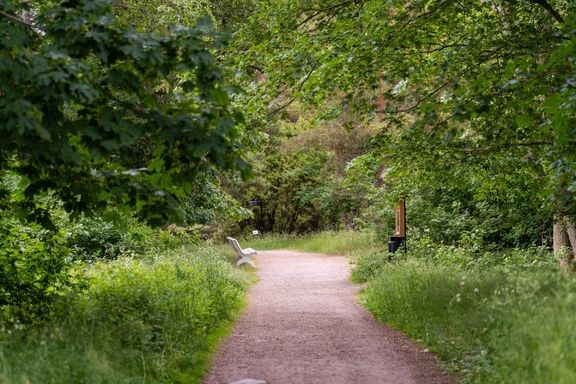 Luontoympäristö helpotti osallistujia saamaan yhteyden omiin arvoihinsa.