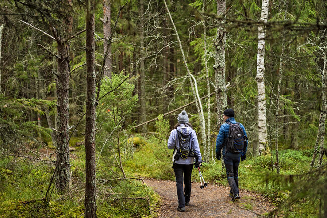 Metsähallituksen tarkoituksena on käyttää ostopalveluita retkikohteiden polttopuu-, jäte ja ylläpitohuollossa aiempaa enemmän.