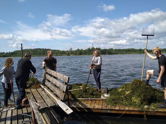 Kasvinpoistotalkoot Luolalanjärvellä.