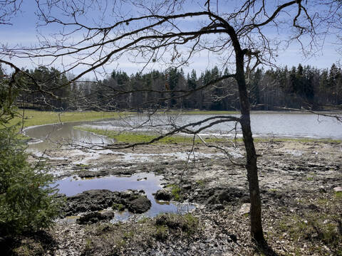 Kosteikkoa Ruissalon Kallanpäässä.