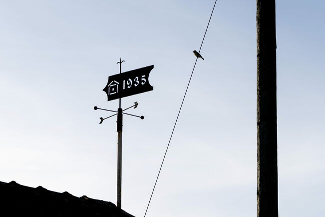 Turun kaupunki vuokraa Kupittaan siirtolapuutarhan alueen Kupittaan ryhmäpuutarhayhdistykselle 20 vuodeksi