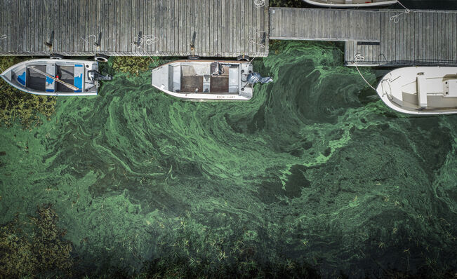 Ahvenanmaan sisäsaariston Husöviken-lahti 1. syyskuuta.