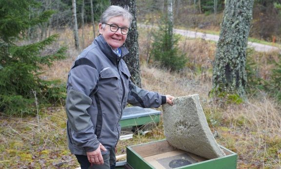 Riistakeskuksen arvion mukaan Varsinais-Suomessa on vain viitisen karhua, mutta ne liikkuvat laajalla alueella. Yksi niist&#228; teki tuhojaan Paimiossa Nurmen puutarhalla viime vappuna. Kuvassa yritt&#228;j&#228; Satu Nurmi.  
