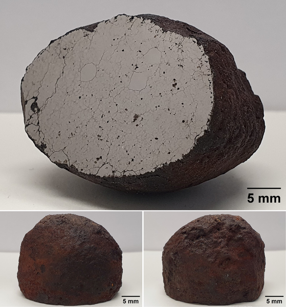 Löpönvaara-meteoriitti on kooltaan pienehkö. Leikattu pinta näyttää meteoriitin sisärakenteen.