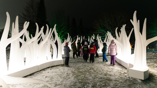 Paradedesign Labyrinth of Light 2. 