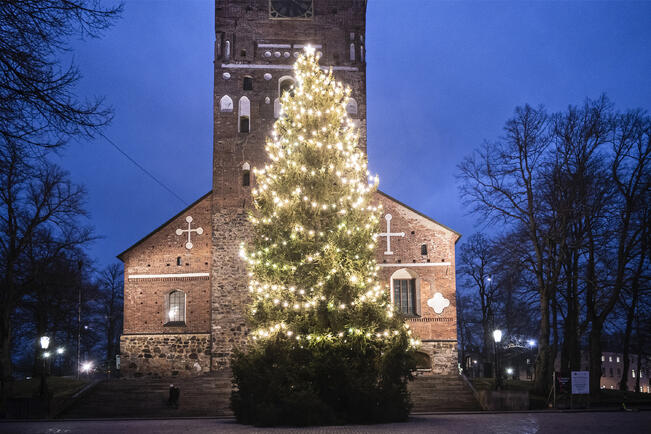 Tuomiokirkon kuusi saa valot ensi lauantaina. Kuva on viime vuodelta.