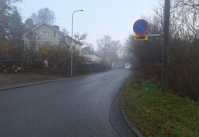 Riippakoivunkatu sai nimensä kesällä 1985. 