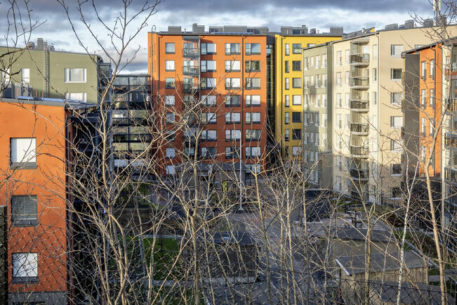 Kirjoittajan mielestä Turussa tuhotaan liikaa luontoa rakentamisen tieltä.