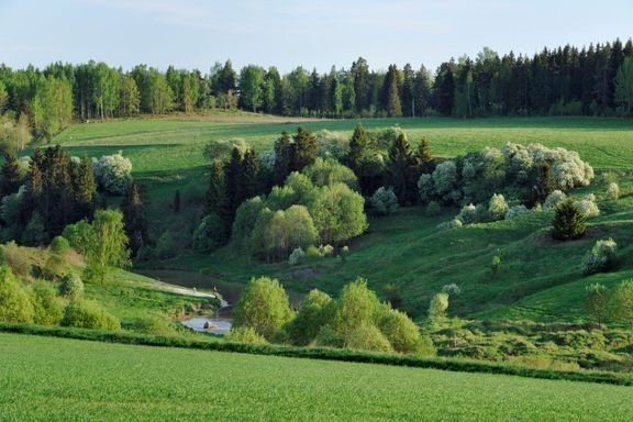 Perinnemaisema Halikossa.  
