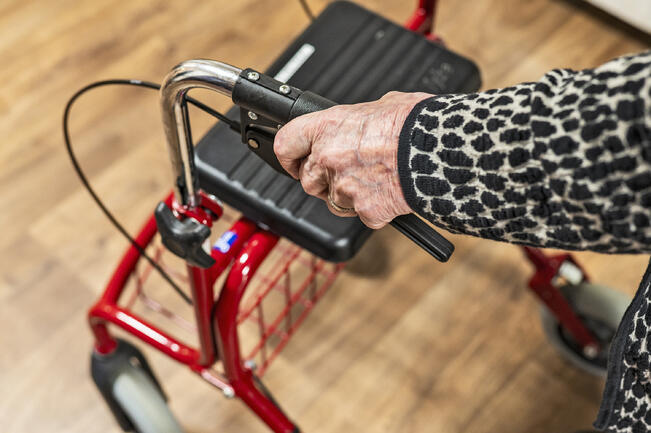 Terveelliset elintavat suojaavat ikäihmisiä sairauksilta, parantavat elämänlaatua ja voivat vähentää hoidon tarvetta.