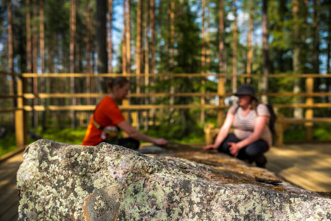 Kajaanin terveysmetsä.