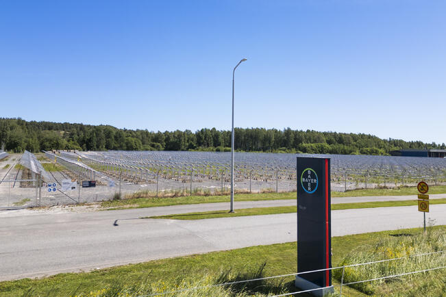 Bayer rakentaa Artukaisiin aurinkovoimapuistoa.